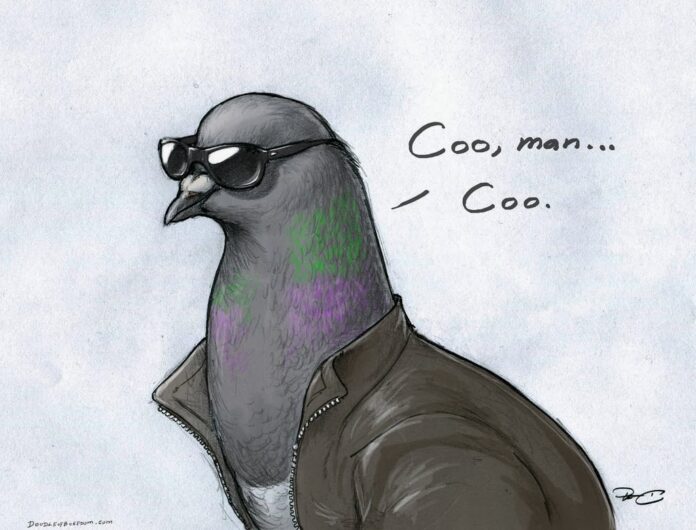 n6n8ett